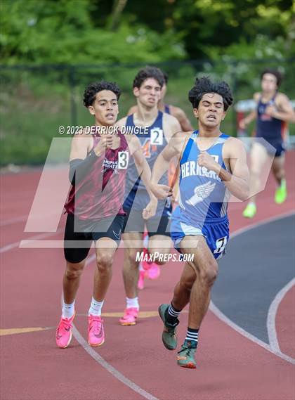 Thumbnail 1 in Section VIII Championship (800 Meter) photogallery.