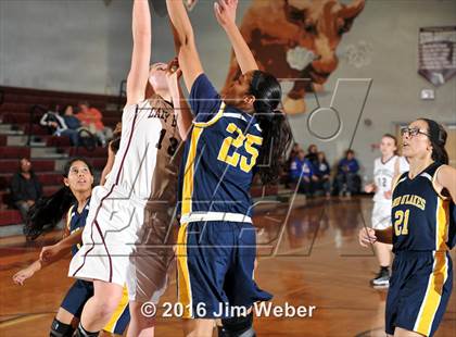 Thumbnail 3 in Land O' Lakes @ Wiregrass Ranch photogallery.