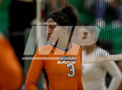 Thumbnail 2 in JV: Cholla @ Amphitheater photogallery.