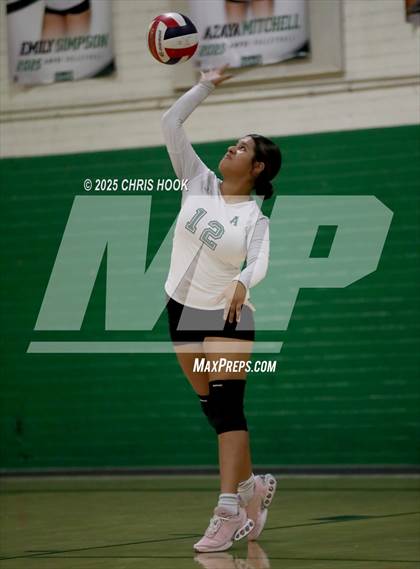 Thumbnail 1 in JV: Cholla @ Amphitheater photogallery.