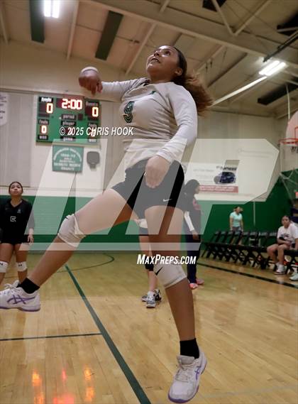 Thumbnail 2 in JV: Cholla @ Amphitheater photogallery.