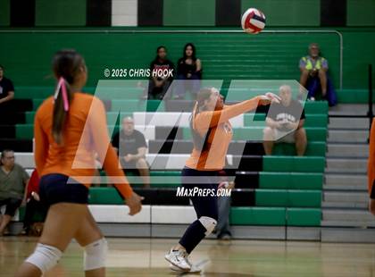 Thumbnail 2 in JV: Cholla @ Amphitheater photogallery.