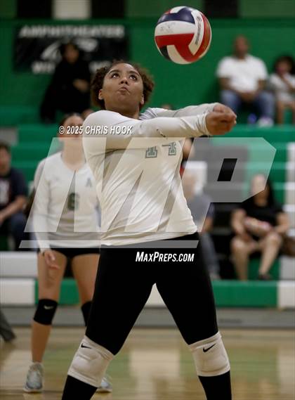 Thumbnail 3 in JV: Cholla @ Amphitheater photogallery.