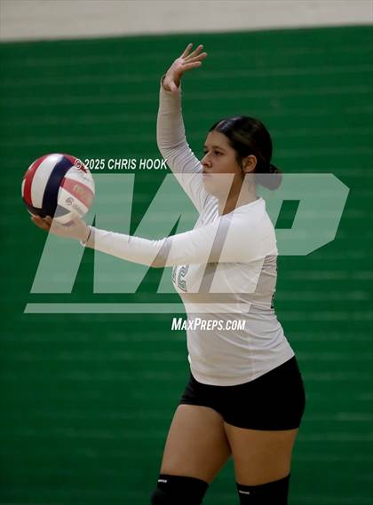 Thumbnail 3 in JV: Cholla @ Amphitheater photogallery.