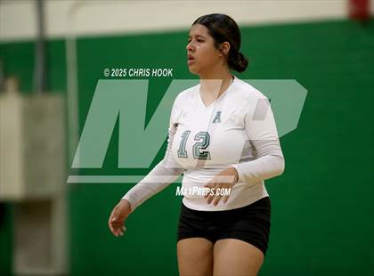 Thumbnail 3 in JV: Cholla @ Amphitheater photogallery.