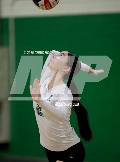 Thumbnail 3 in JV: Cholla @ Amphitheater photogallery.
