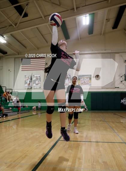 Thumbnail 3 in JV: Cholla @ Amphitheater photogallery.
