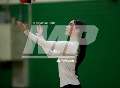 Thumbnail 2 in JV: Cholla @ Amphitheater photogallery.