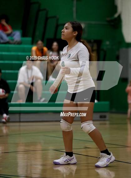 Thumbnail 2 in JV: Cholla @ Amphitheater photogallery.