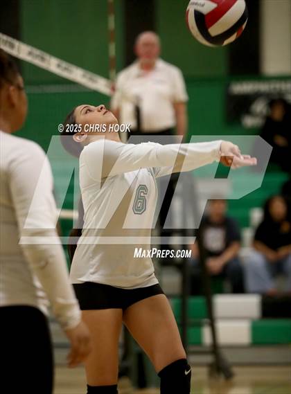 Thumbnail 1 in JV: Cholla @ Amphitheater photogallery.