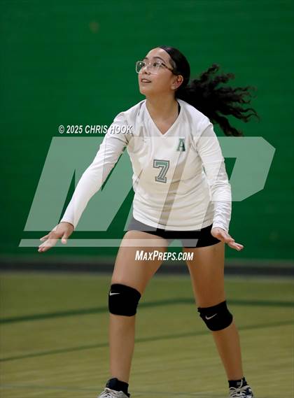 Thumbnail 2 in JV: Cholla @ Amphitheater photogallery.