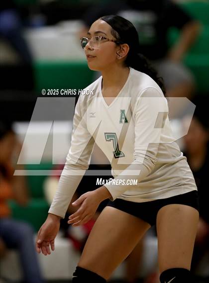 Thumbnail 1 in JV: Cholla @ Amphitheater photogallery.