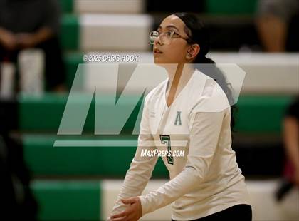 Thumbnail 3 in JV: Cholla @ Amphitheater photogallery.