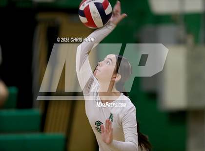 Thumbnail 3 in JV: Cholla @ Amphitheater photogallery.