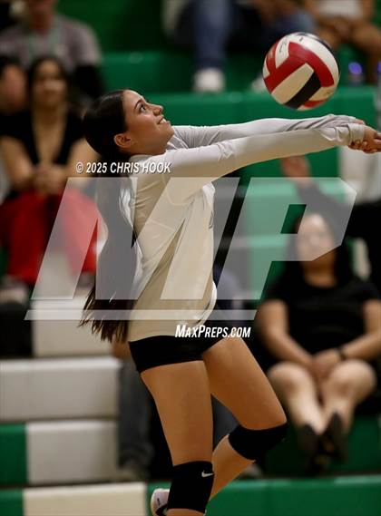 Thumbnail 3 in JV: Cholla @ Amphitheater photogallery.