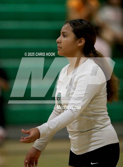 Thumbnail 1 in JV: Cholla @ Amphitheater photogallery.