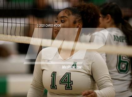 Thumbnail 3 in JV: Cholla @ Amphitheater photogallery.