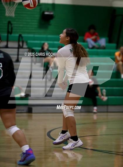 Thumbnail 3 in JV: Cholla @ Amphitheater photogallery.
