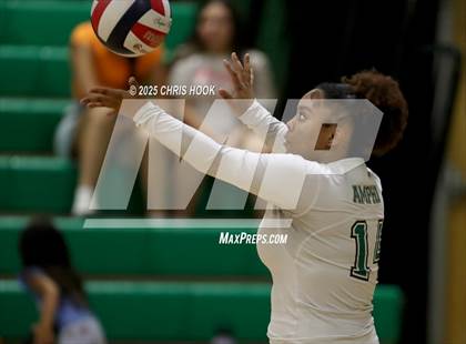 Thumbnail 2 in JV: Cholla @ Amphitheater photogallery.
