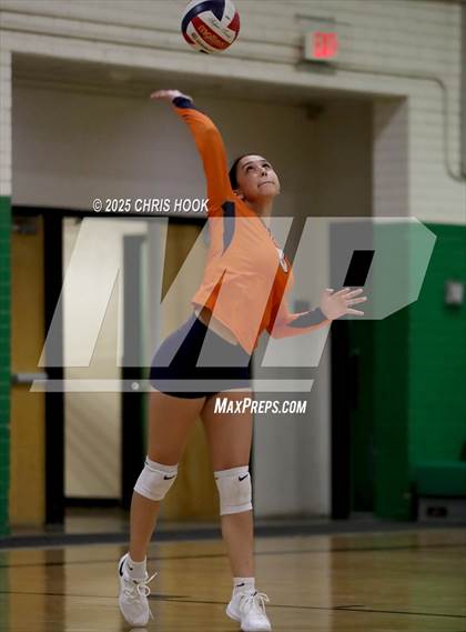 Thumbnail 3 in JV: Cholla @ Amphitheater photogallery.