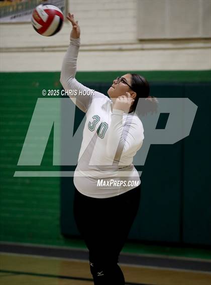 Thumbnail 1 in JV: Cholla @ Amphitheater photogallery.