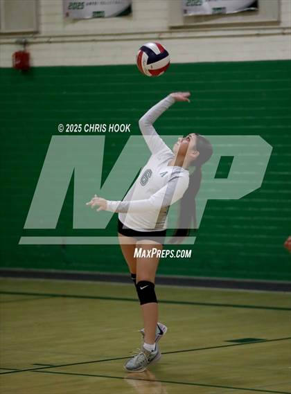 Thumbnail 1 in JV: Cholla @ Amphitheater photogallery.