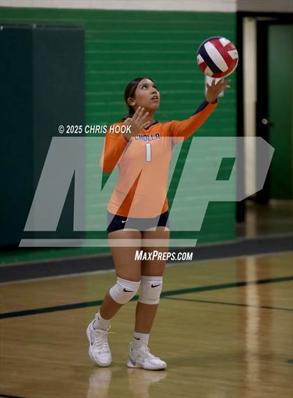 Thumbnail 2 in JV: Cholla @ Amphitheater photogallery.