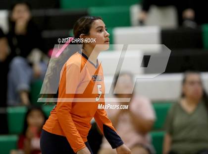 Thumbnail 2 in JV: Cholla @ Amphitheater photogallery.