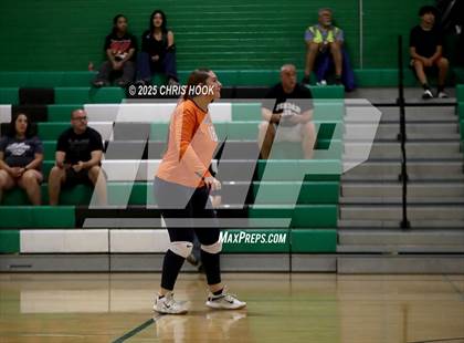 Thumbnail 3 in JV: Cholla @ Amphitheater photogallery.