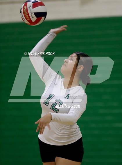 Thumbnail 1 in JV: Cholla @ Amphitheater photogallery.