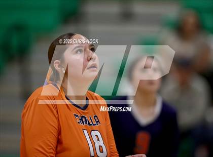 Thumbnail 1 in JV: Cholla @ Amphitheater photogallery.