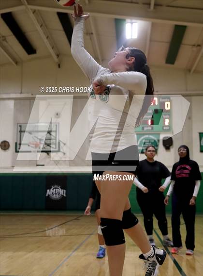 Thumbnail 2 in JV: Cholla @ Amphitheater photogallery.