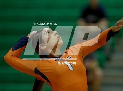 Thumbnail 2 in JV: Cholla @ Amphitheater photogallery.