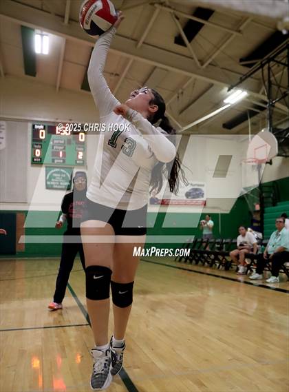 Thumbnail 3 in JV: Cholla @ Amphitheater photogallery.