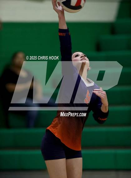 Thumbnail 3 in JV: Cholla @ Amphitheater photogallery.