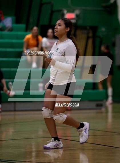 Thumbnail 2 in JV: Cholla @ Amphitheater photogallery.