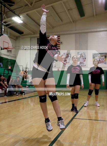 Thumbnail 3 in JV: Cholla @ Amphitheater photogallery.