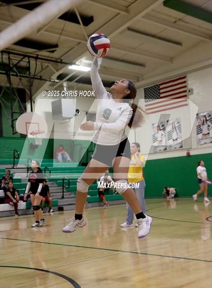 Thumbnail 3 in JV: Cholla @ Amphitheater photogallery.