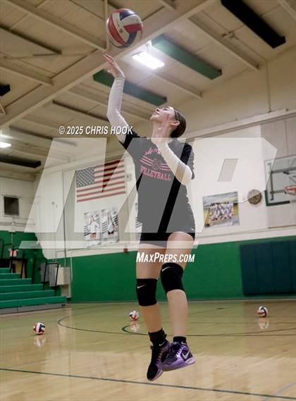 Thumbnail 2 in JV: Cholla @ Amphitheater photogallery.