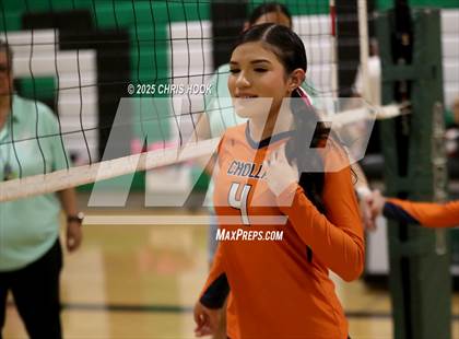 Thumbnail 3 in JV: Cholla @ Amphitheater photogallery.