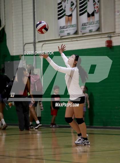 Thumbnail 1 in JV: Cholla @ Amphitheater photogallery.