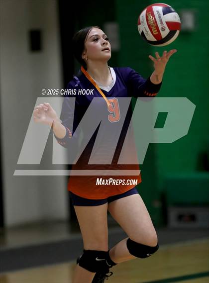 Thumbnail 2 in JV: Cholla @ Amphitheater photogallery.