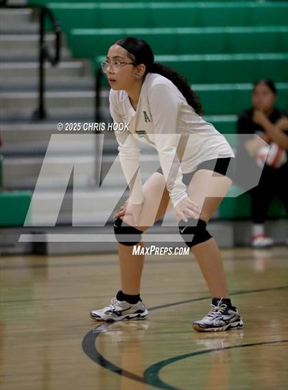 Thumbnail 2 in JV: Cholla @ Amphitheater photogallery.