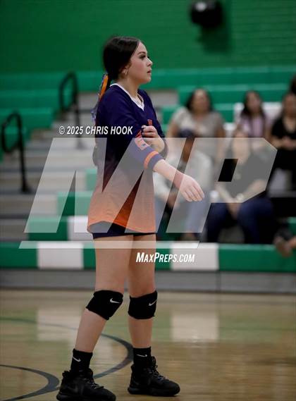 Thumbnail 3 in JV: Cholla @ Amphitheater photogallery.