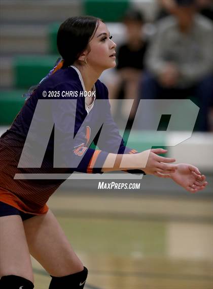 Thumbnail 3 in JV: Cholla @ Amphitheater photogallery.