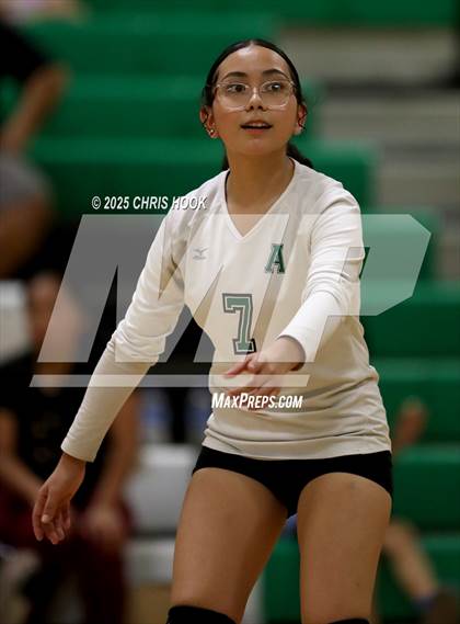Thumbnail 2 in JV: Cholla @ Amphitheater photogallery.