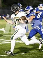 Photo from the gallery "Paradise @ Orland"