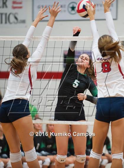 Thumbnail 3 in Carroll @ Grapevine photogallery.