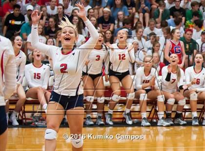 Thumbnail 3 in Carroll @ Grapevine photogallery.
