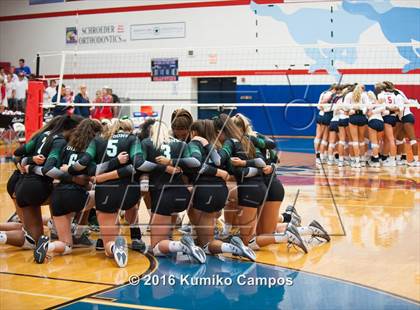 Thumbnail 3 in Carroll @ Grapevine photogallery.